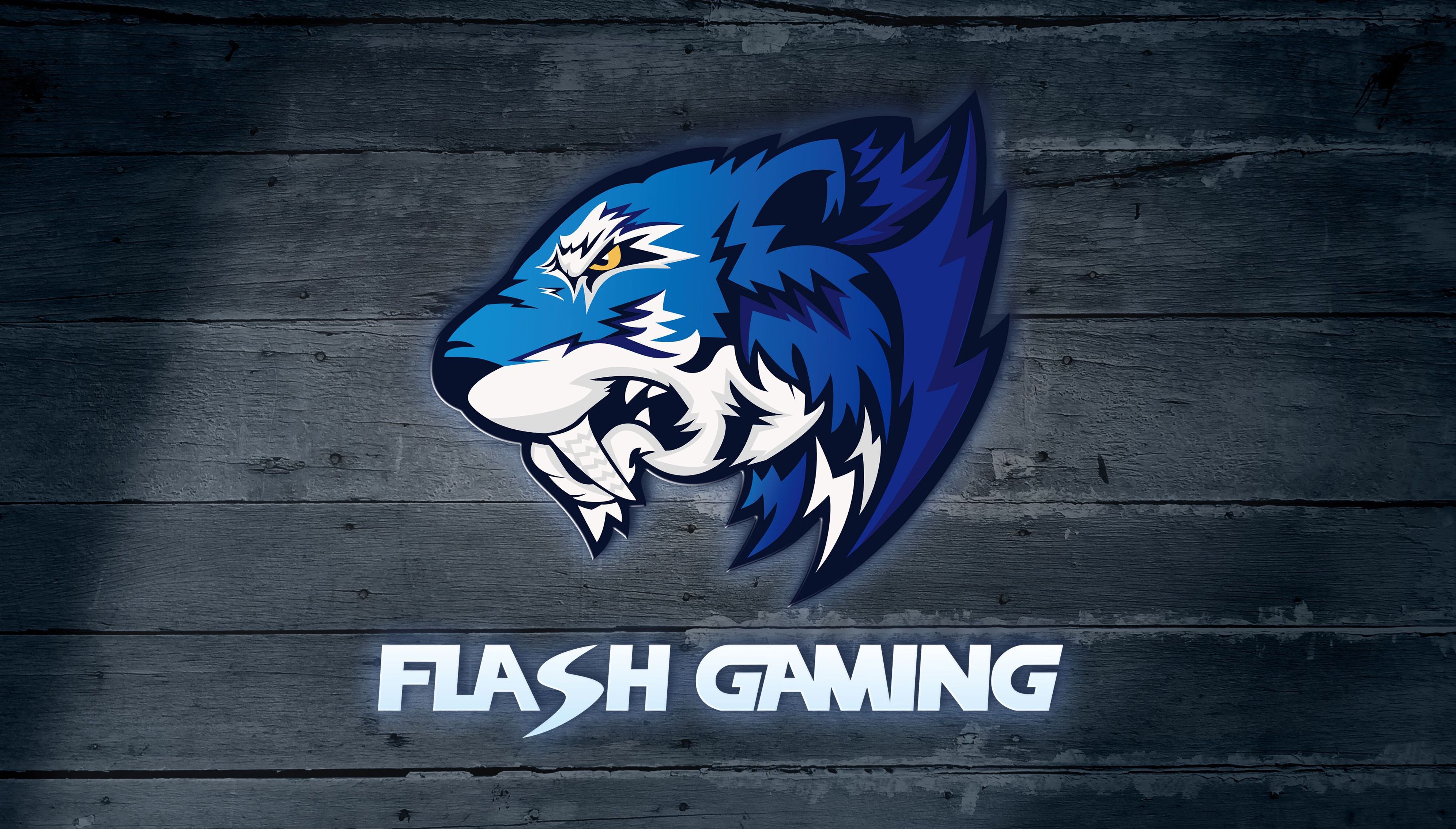 Flash gaming. Флеш гейминг КС. Flash Gaming наклейка. Логотип Team Flash.